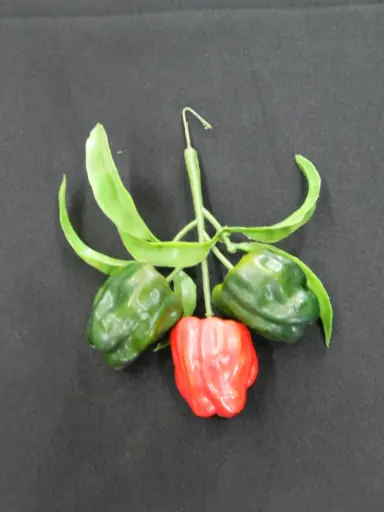 [PKF-155] Habanero Pepper Stem