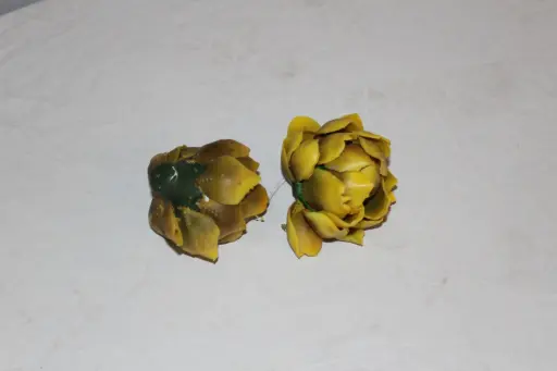 [PKF-165] Artichoke