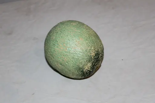 [PKF-166] Honeydew Melon