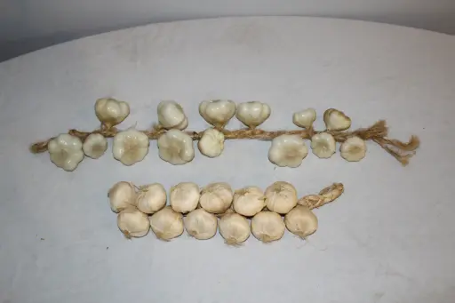 [PKF-177] String of Garlic