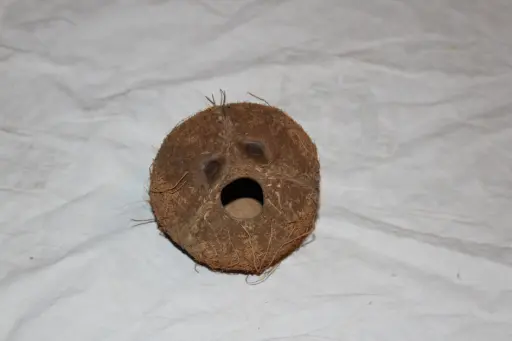 [PKF-180] Coconut Shell