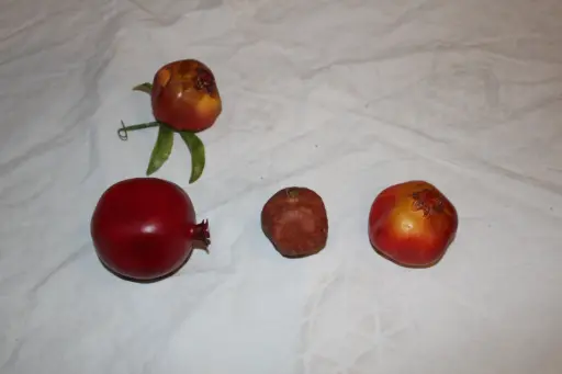 [PKF-186] Pomegranate