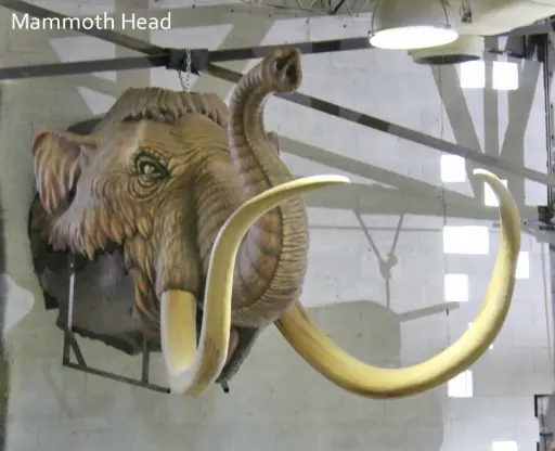 [PMS-011] Mammoth Head