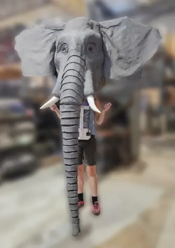 [PPP-021] Rosie the Elephant