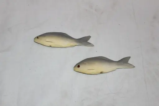 [PTA-054] Small Fish