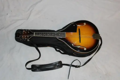 [PTI-019] Mandolin and Case