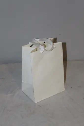 [PMG-001] White Gift Bag