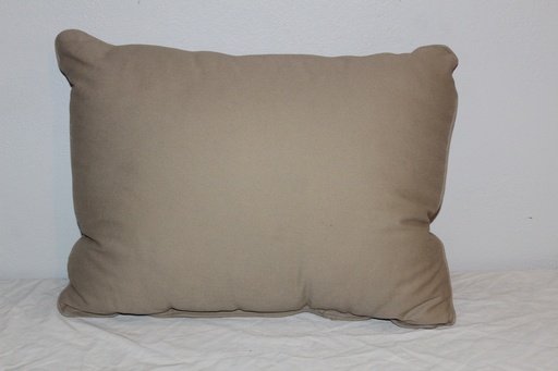 [PBP-062] Throw Pillow