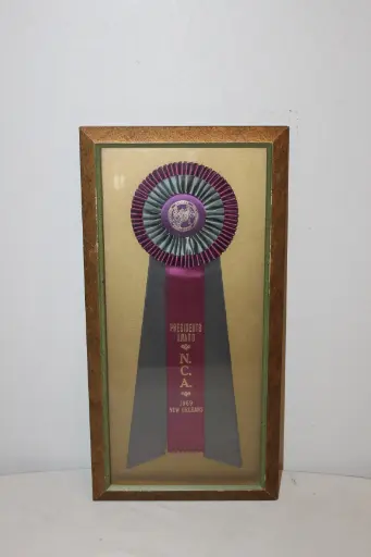 [PDA-008] Framed Award Ribbon