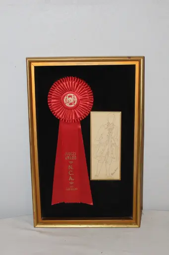 [PDA-012] Framed Award Ribbon