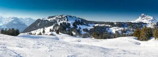 [PDD-017] Snowy Ski Mountain Backdrop - Left