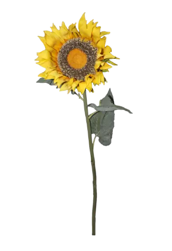 [PDF-031] Sunflower - 3.5'