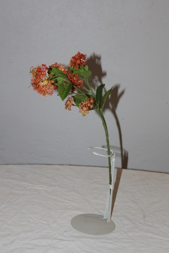 [PDF-033] Milkweed