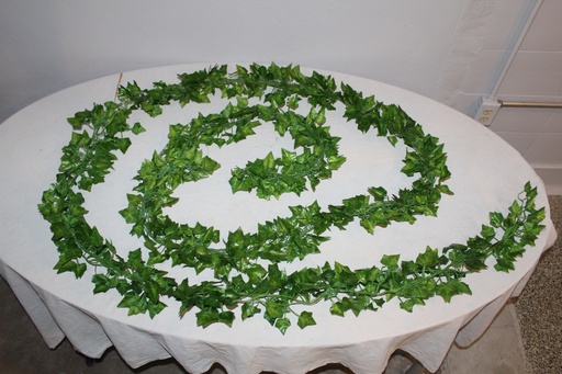 [PDF-038] Vine Garland