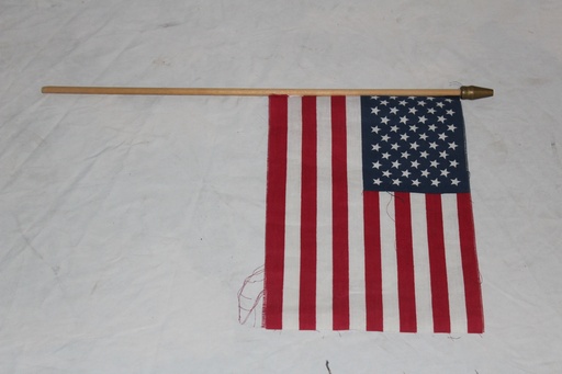 [PDG-080] US Stick Flag