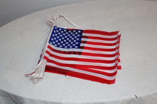 [PDG-087] US Pennant String Flags