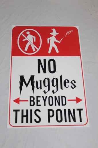 [PDG-114] No Muggles Poster