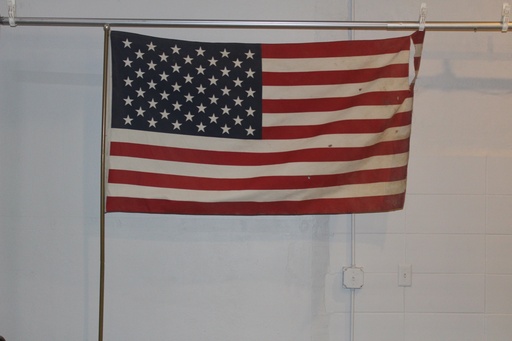 [PDG-119] USA Flag on Pole