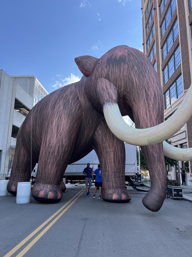 [PDI-004] Howie VII the Mammoth