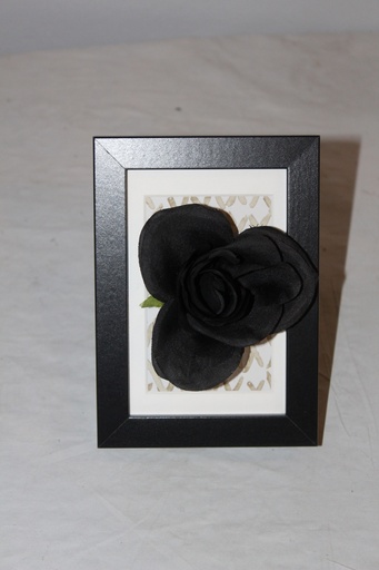 [PDP-019] Black Rose Frames