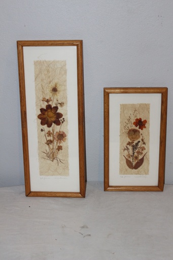 [PDP-025] Pair of Framed Flower Art