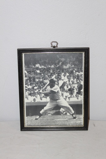 [PDP-050] Framed Baseball Photo