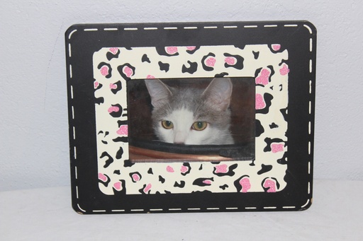 [PDP-085] Picture Frame