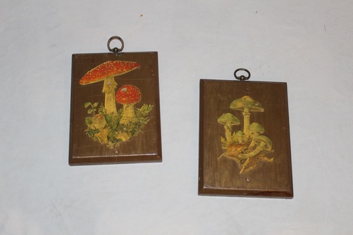 [PDP-110] Wood Art Plaques