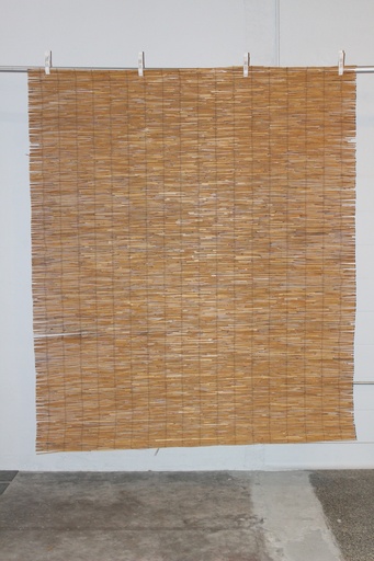 [PDW-105] Bamboo Roller Shade